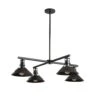 Hubbardton Forge Henry Outdoor 4-Light Industrial Pendant 2 Hubbardton Forge Henry Outdoor 4-Light Industrial Pendant -VERMONT WOODS Henry Outdoor 4 Light Pendant 1